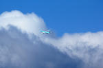 IMG_3162.jpg