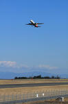 IMG_3287.jpg