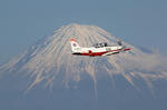 IMG_4078.jpg