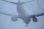 IMG_5587.jpg
