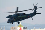 IMG_5791.jpg