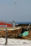 IMG_6376.jpg