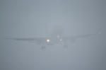 IMG_6682.jpg