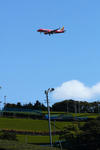 IMG_7235.jpg