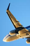 IMG_7199.jpg