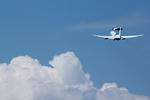IMG_7071.jpg