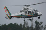 081108slj10.jpg