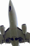 IMG_8176.jpg