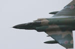 090517nyaf16.jpg