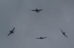 090517nyaf05.jpg