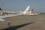 IMG_8770.jpg