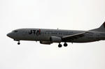 IMG_2433.jpg