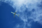 IMG_2637.jpg