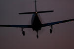 IMG_1459.jpg