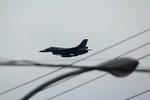 IMG_2492.jpg