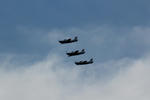 IMG_6822.jpg