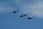 IMG_6826.jpg