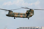 IMG_7372.jpg