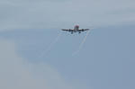 IMG_8094.jpg