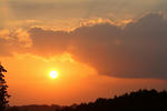 IMG_9949.jpg