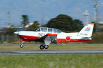 IMG_2924.jpg