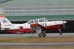 IMG_4458.jpg