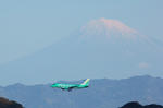 IMG_5229.jpg