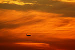 IMG_6495.jpg