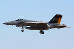 IMG_6203.jpg