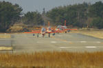 IMG_9694.jpg