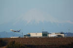 IMG_8653.jpg