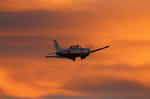 IMG_1516.jpg