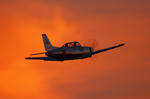 IMG_1536.jpg