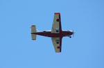 IMG_3720.jpg