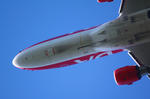 IMG_5364.jpg