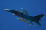IMG_5989.jpg