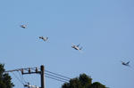 IMG_6563.jpg