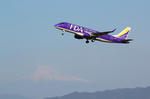 IMG_7884.jpg