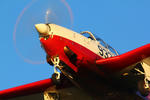IMG_8824.jpg