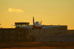 IMG_8896.jpg