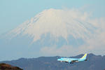 IMG_9401.jpg