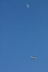 IMG_6500.jpg