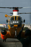 IMG_4142.jpg