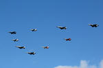 IMG_6740.jpg