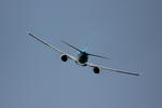 IMG_5833.jpg