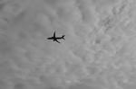 IMG_6226.jpg