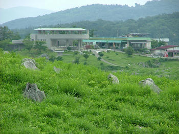 daijyo-5.jpg