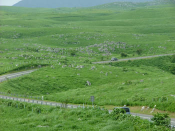 daijyo-6.jpg