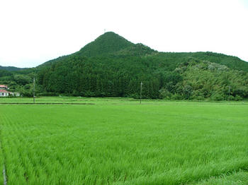 tanbo1.jpg