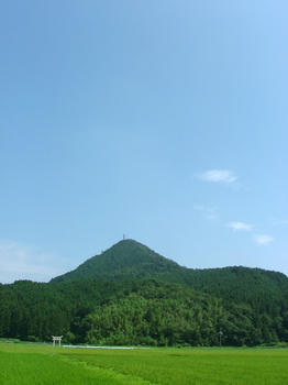 ine-2.jpg